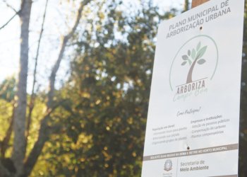 Campanha de conscientização para podas urbanas de árvores