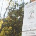 Campanha de conscientização para podas urbanas de árvores 5 Campanha de conscientização para podas urbanas de árvores