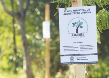 Um ano do Plano de Arborização no município