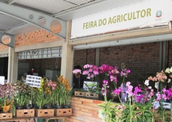 Campo Bom terá Feira do Agricultor terá edição especial no fim de semana do Dia das Mães