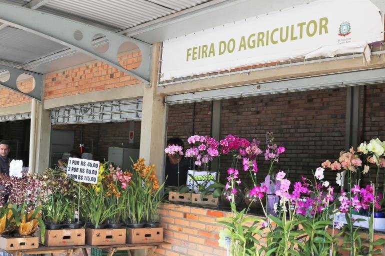 Campo Bom terá Feira do Agricultor terá edição especial no fim de semana do Dia das Mães 1 Campo Bom terá Feira do Agricultor terá edição especial no fim de semana do Dia das Mães