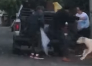 Agressor de cão é indiciado pelo crime de Crueldade Contra Animais