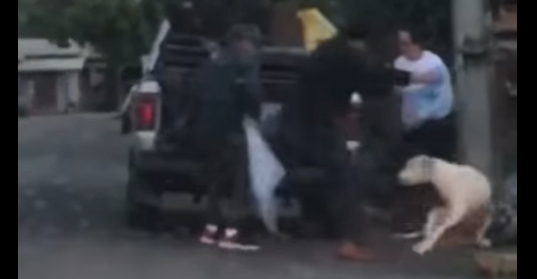 Agressor de cão é indiciado pelo crime de Crueldade Contra Animais 1 Agressor de cão é indiciado pelo crime de Crueldade Contra Animais