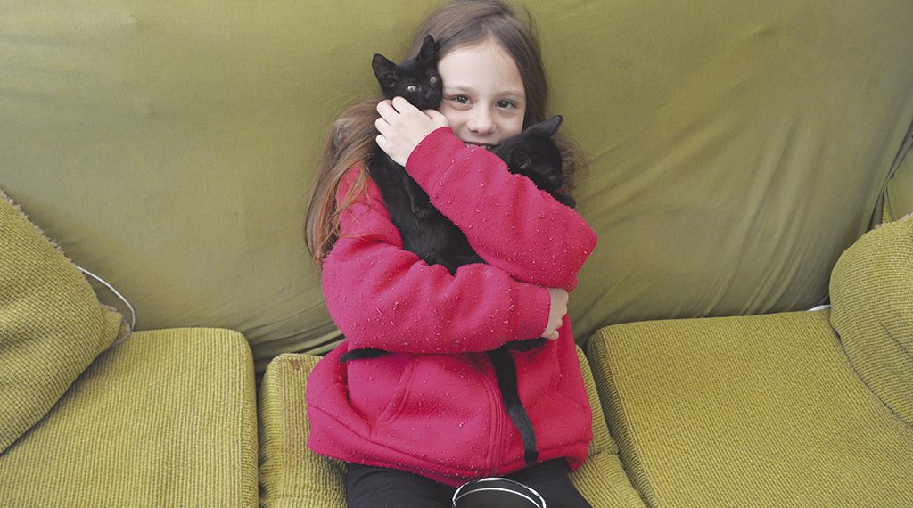 Menina de 9 anos doa sua mesada para a causa animal 1 Menina de 9 anos doa sua mesada para a causa animal