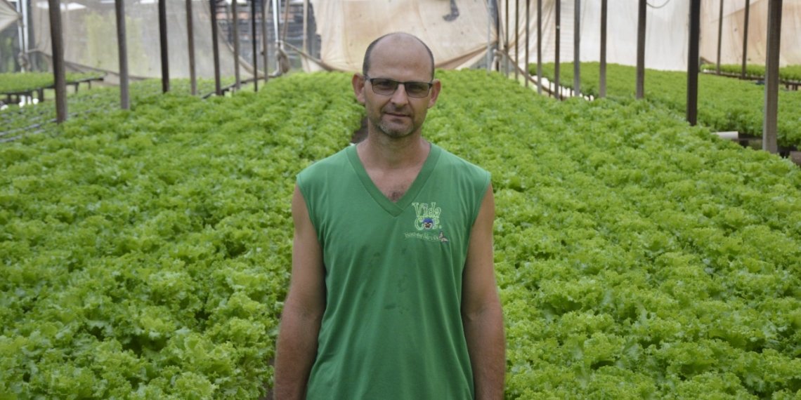 28 de julho: Dia de celebrar o agricultor brasileiro
