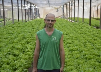 28 de julho: Dia de celebrar o agricultor brasileiro