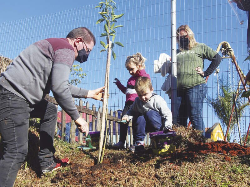 Crianças fazem plantio de mudas na Escola Bem-Viver 1 bem viver