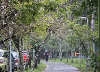 Caminhada Viva Mais começa nesta quarta-feira 6 Caminhada Viva Mais começa nesta quarta-feira