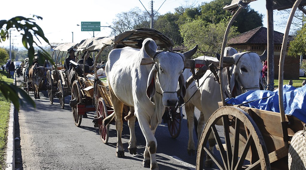 Escritório de Defesa Agropecuária será inaugurado no município 1 Escritório de Defesa Agropecuária será inaugurado no município