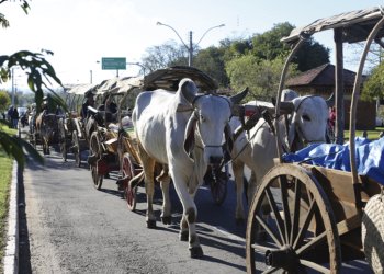 Escritório de Defesa Agropecuária será inaugurado no município