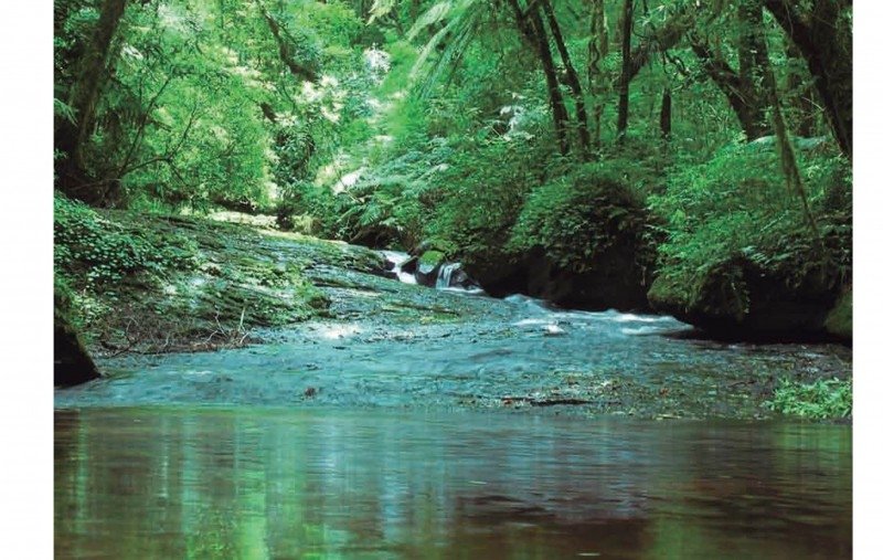 Feevale oferece formação gratuita para professores e acadêmicos de licenciatura sobre o Rio dos Sinos