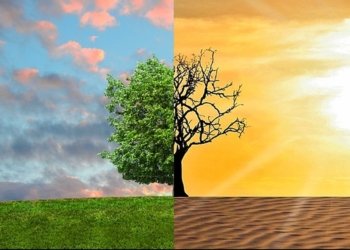 Mudanças climáticas: o que é e o que a gente tem a ver com isso?