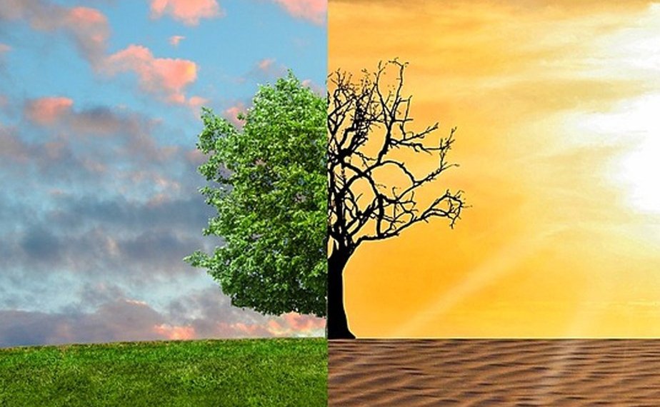Mudanças climáticas: o que é e o que a gente tem a ver com isso? 1 Mudanças climáticas: o que é e o que a gente tem a ver com isso?