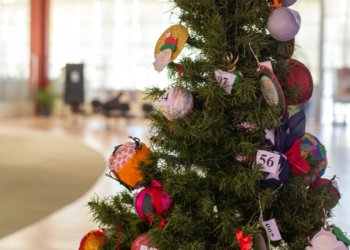 Vem aí mais uma edição da Árvore Solidária 6 Campo Bom prepara mais uma edição da Árvore Solidária