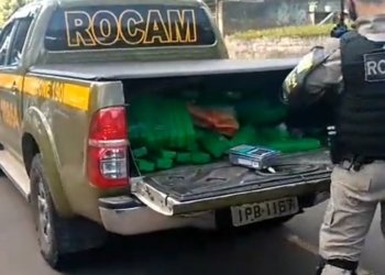 Brigada Militar realiza prisão e apreende mais de 250kg de maconha no bairro Santa Lúcia 9 Brigada Militar realiza prisão e apreende mais de 250kg de maconha no bairro Santa Lúcia