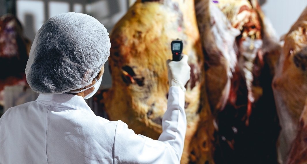 SIM de Campo Bom realiza inspeções semanais em agroindústrias locais