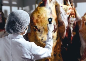 SIM de Campo Bom realiza inspeções semanais em agroindústrias locais