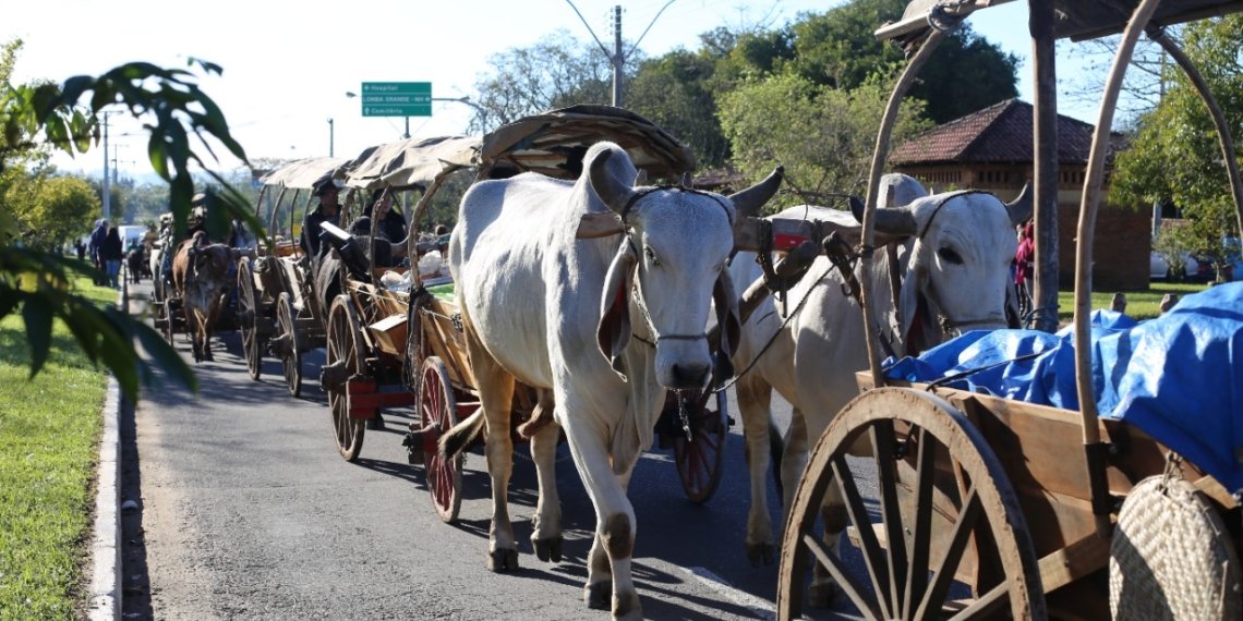 Declaração Anual de Rebanho agora é feita no Escritório de Defesa Agropecuária (EDA) de Campo Bom 1 Declaração Anual de Rebanho agora é feita no Escritório de Defesa Agropecuária (EDA) de Campo Bom