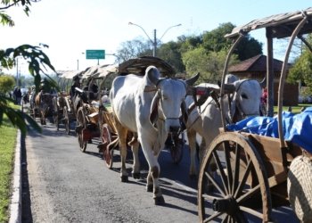 Declaração Anual de Rebanho agora é feita no Escritório de Defesa Agropecuária (EDA) de Campo Bom