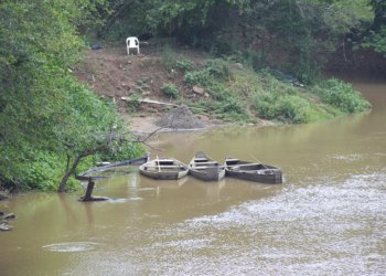 Seca: Começam a surgir os primeiros peixes mortos no Rio dos Sinos