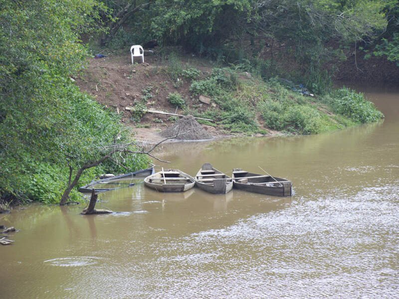 Seca: Começam a surgir os primeiros peixes mortos no Rio dos Sinos 1 capa