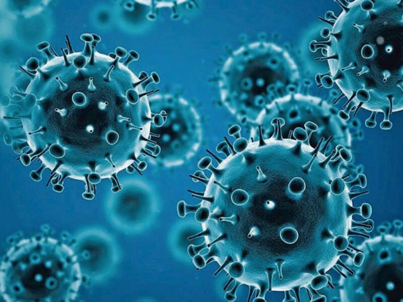 coronavirus 2