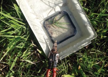 Quem furta? E quem compra?