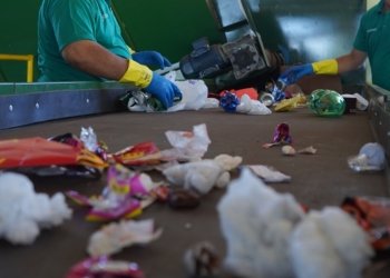 Professores de Campo Bom participam de encontro sobre ecoeducação 4 Professores de Campo Bom participam de encontro sobre ecoeducação