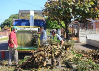 Cronograma de recolhimento de podas tem início na segunda semana de maio