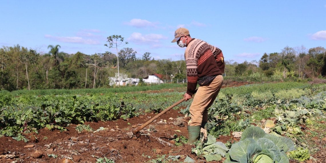 Agricultores de Campo Bom podem se inscrever para ter acesso a financiamento pelo Feaper 1 Agricultores de Campo Bom podem se inscrever para ter acesso a financiamento pelo Feaper