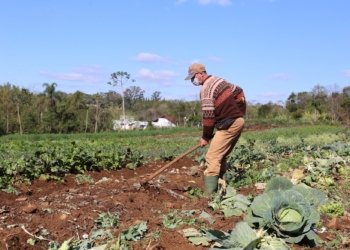 Agricultores de Campo Bom podem se inscrever para ter acesso a financiamento pelo Feaper