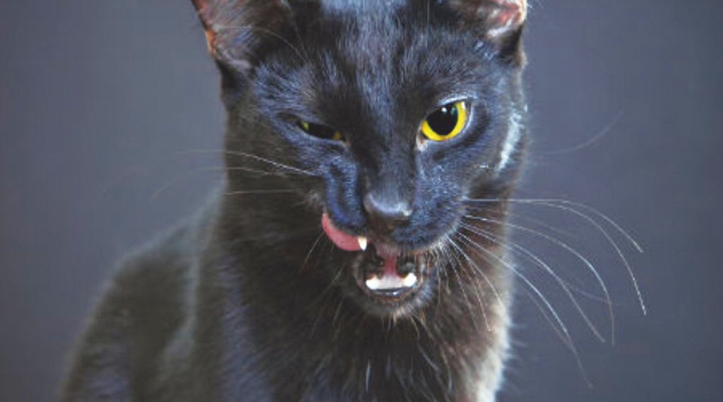 As superstições da sexta-feira 13 1 As superstições da sexta-feira 13