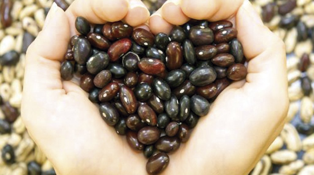 Banco de Alimentos e Marmitas do Bem são a esperança de um futuro melhor 1 Banco de Alimentos e Marmitas do Bem são a esperança de um futuro melhor