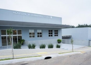 Em Campo Bom, Hospital Veterinário Feevale já realiza atendimentos