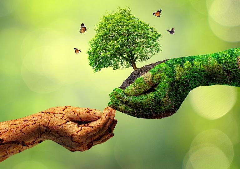 Conscientização e ação na Semana do Meio Ambiente 1 Conscientização e ação na Semana do Meio Ambiente