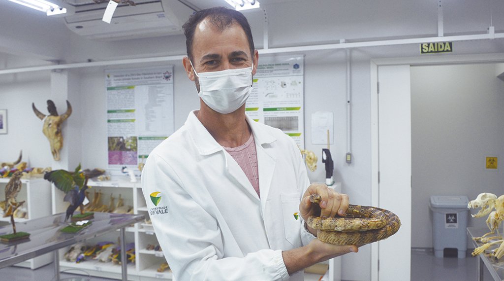 A arte da taxidermia