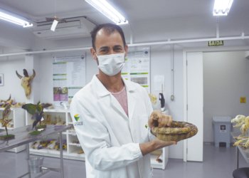 A arte da taxidermia 9 A arte da taxidermia