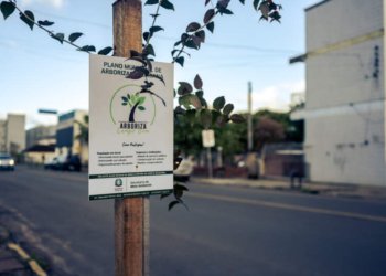 Programa Arboriza Campo Bom distribuiu mais de 1,3 mil mudas de espécies nativas 6 Programa Arboriza Campo Bom distribuiu mais de 1,3 mil mudas de espécies nativas