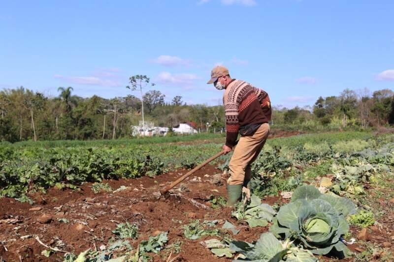 <strong>Campo Bom é destaque estadual em políticas públicas para a agricultura</strong> 1 agricultura