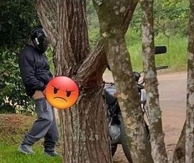 <strong>Guarda Municipal de Campo Bom pede informações sobre caso de importunação sexual</strong> 1 Guarda Municipal de Campo Bom pede informações sobre caso de importunação sexual