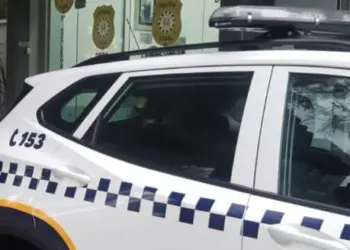 Guarda Municipal prende individuo suspeito de espancar a própria mãe