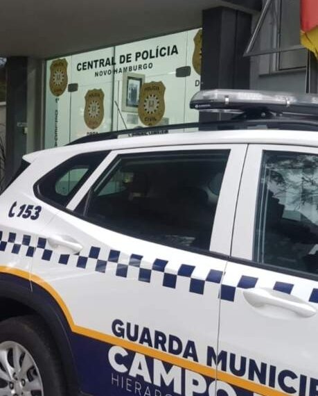 Guarda Municipal presta socorro a cão atropelado 1 Guarda Municipal prende individuo suspeito de espancar a própria mãe