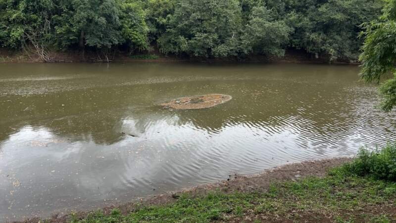 Secretaria do Meio Ambiente monitora a morte de dezenas de peixes em Campo Bom