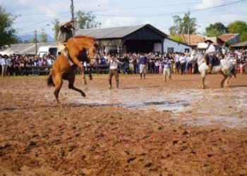 Vem aí o 43º Rodeio Nacional de Campo Bom 1 Vem aí o 43º Rodeio Nacional de Campo Bom