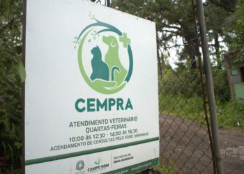 Campo Bom realizou mais de 2,1 mil castrações e consultas gratuitas de animais em 2022 1 Campo Bom realizou mais de 2,1 mil castrações e consultas gratuitas de animais em 2022