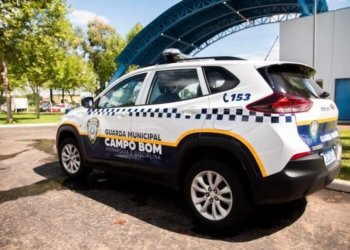 Mulher é presa por danos ao patrimônio público e desacato