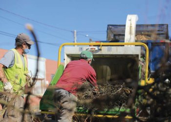 Recolhimento de podas começa em abril