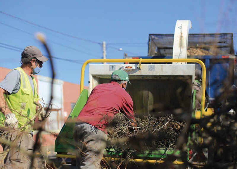 Recolhimento de podas começa em abril 1 Recolhimento de podas começa em abril