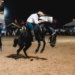 <strong>Ginete de Capão do Leão é campeão do 43º Rodeio Nacional de Campo Bom</strong> 5 Ginete de Capão do Leão é campeão do 43º Rodeio Nacional de Campo Bom