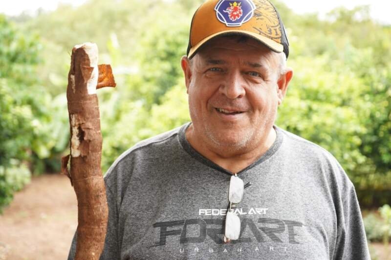 <strong>Horta Comunitária do Bairro Aurora gera </strong>3,5 <strong> toneladas de aipim para moradores</strong> 1 Horta Comunitária do Bairro Aurora gera 3,5  toneladas de aipim para moradores